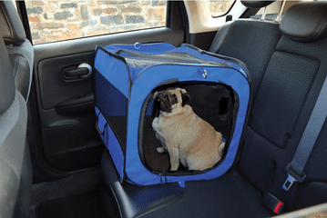 Streetwize Fold Collapsible Dog Puppy Cat Kitten Pet Car Travel Seat Kennel Cage
